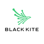 Black Kite